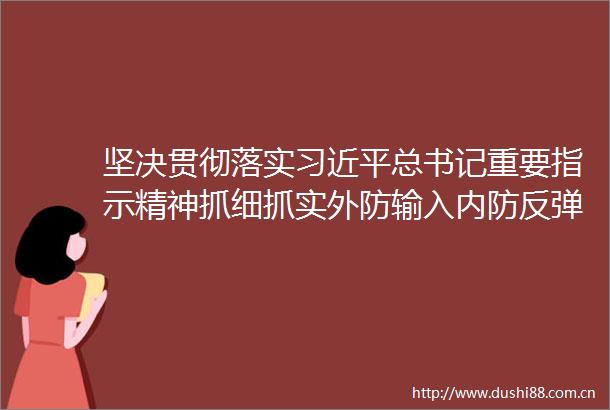 坚决贯彻落实总书记重要指示精神抓细抓实外防输入内防反弹各项工作