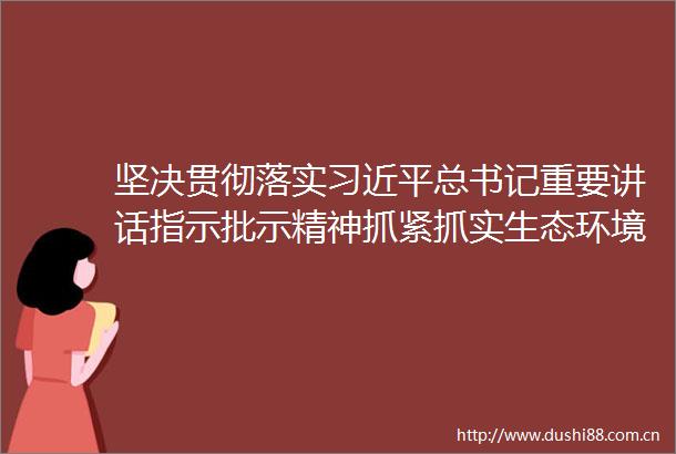 坚决贯彻落实总书记重要讲话指示批示精神抓紧抓实生态环境问题整改整治坚定不移推动高质量发展