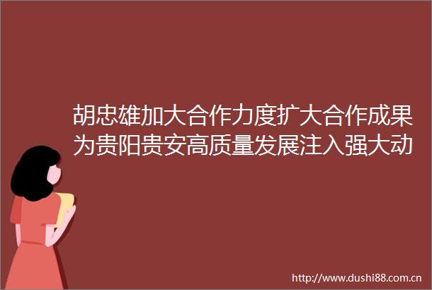 胡忠雄加大合作力度扩大合作成果为贵阳贵安高质量发展注入强大动力