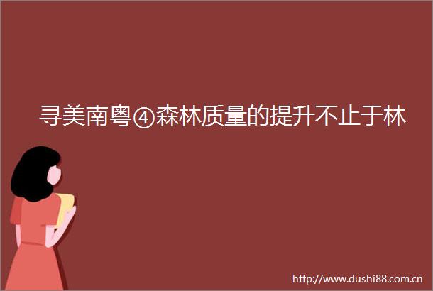 寻美南粤④森林质量的提升不止于林