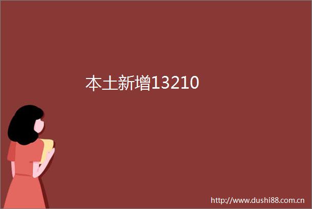本土新增13210