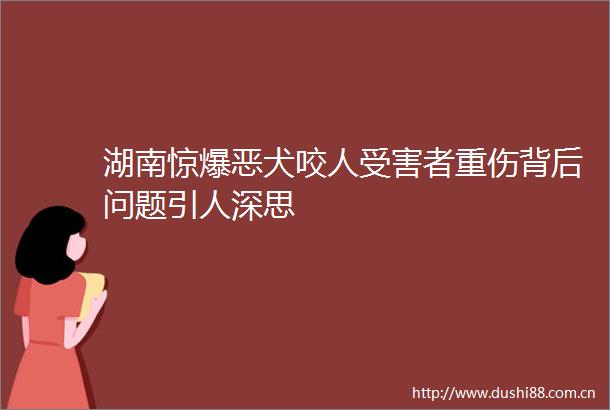 湖南惊爆恶犬咬人者重伤背后问题引人深思