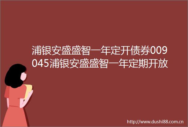浦银安盛盛智一年定开债券009045浦银安盛盛智一年定期开放债券型发起式证券投资基金2023年度分红公告