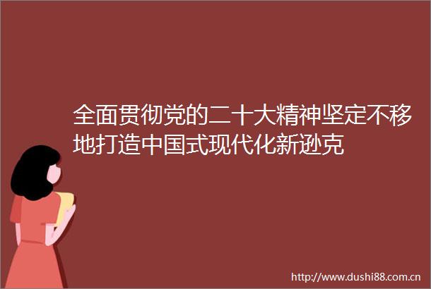 全面贯彻党的二十大精神坚定不移地打造式现代化新逊克