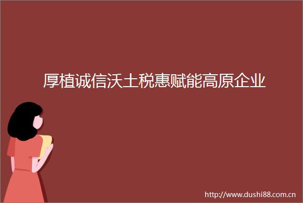 厚植诚信沃土税惠赋能高原企业