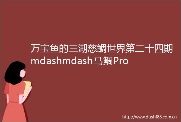 万宝鱼的三湖慈鲷世界第二十四期mdashmdash马鲷Protomelas属那些事儿