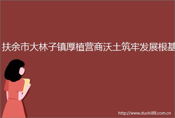 扶余市大林子镇厚植营商沃土筑牢发展根基