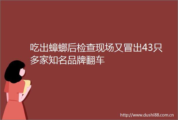 吃出蟑螂后检查现场又冒出43只多家知名品牌翻车