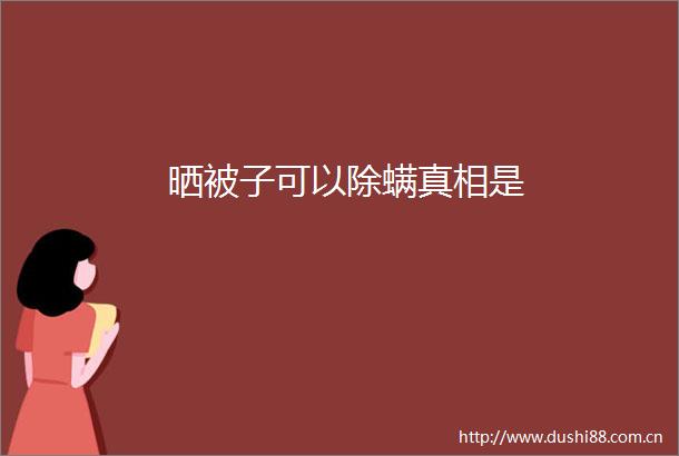 晒被子可以除螨真相是