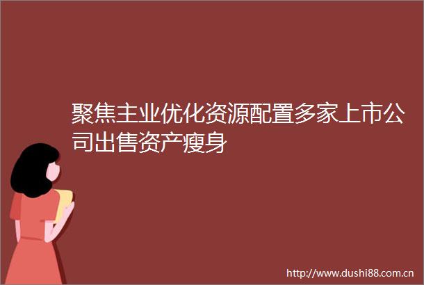 聚焦主业优化资源配置多家上市公司资产瘦身