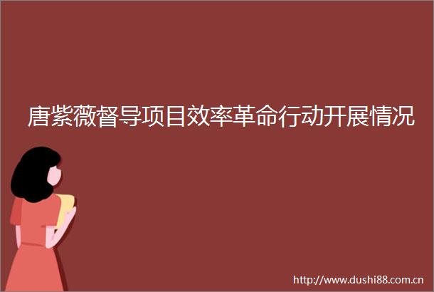 唐紫薇督导项目效率革命行动开展情况