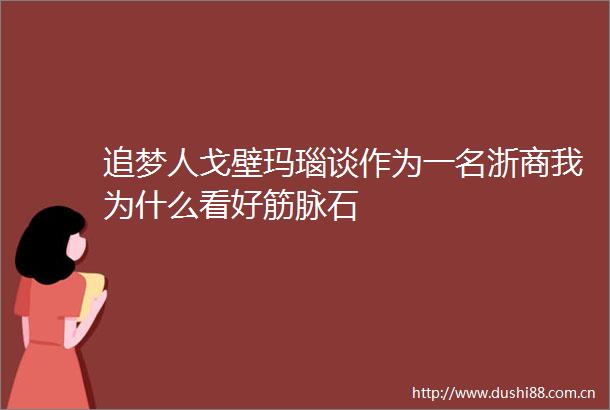 追梦人戈壁玛瑙谈作为一名浙商我为什么看好筋脉石