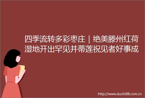 四季流转多彩枣庄｜绝美滕州红荷湿地开出罕见并蒂莲祝见者好事成双好运莲莲