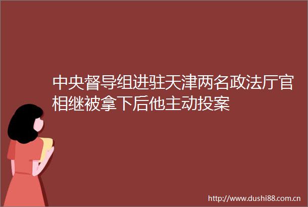 中央督导组进驻天津两名政法厅官相继被拿下后他主动投案