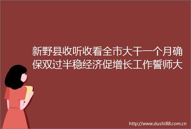 新野县收听收看全市大干一个月确保双过半稳经济促增长工作誓师大会