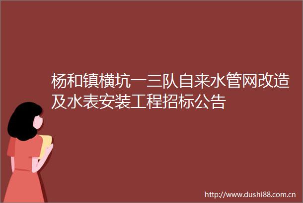 杨和镇横坑一三队自来水管网改造及水表安装工程招标公告
