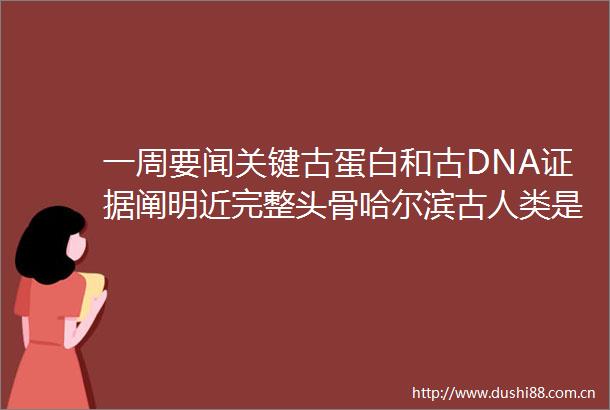 一周要闻关键古蛋白和古DNA阐明近完整头骨哈尔滨古人类是丹尼索瓦人