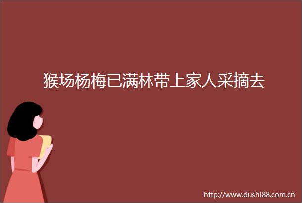 猴场杨梅已满林带上家人采摘去