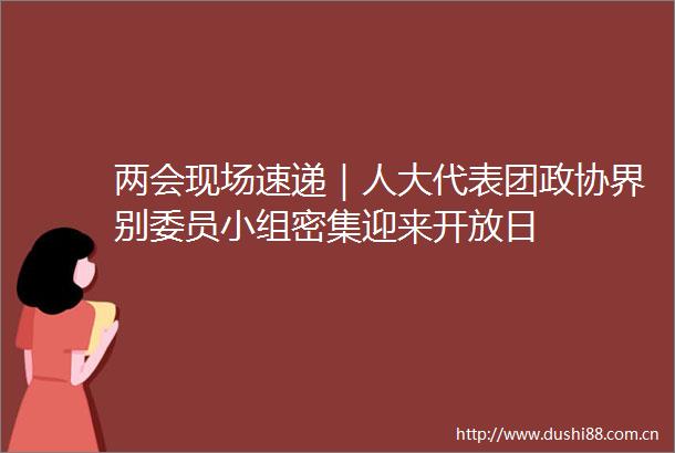 两会现场速递｜人大代表团政协界别委员小组密集迎来开放日