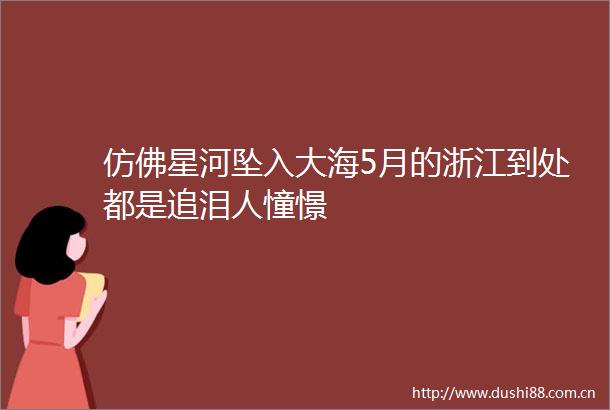 仿佛星河坠入大海5月的浙江到处都是追泪人憧憬