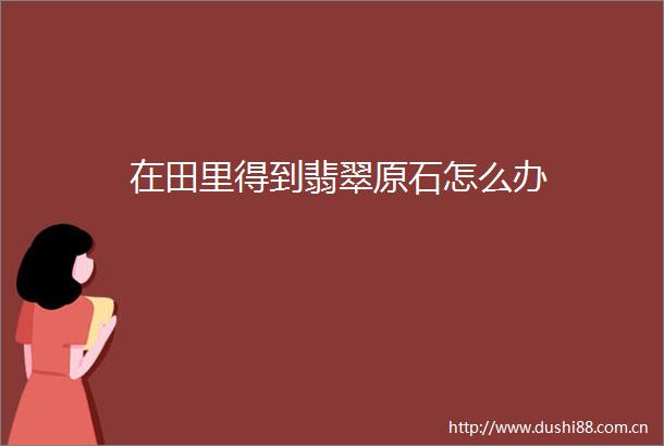 在田里得到翡翠原石怎么办