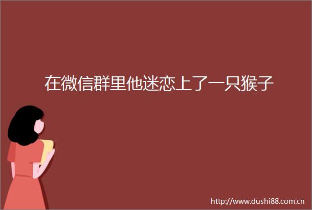 在微信群里他迷恋上了一只猴子