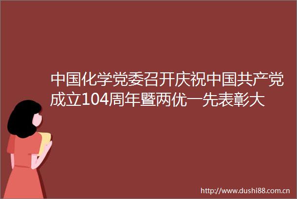 化学党委召开庆祝成立104周年暨两优一先表彰大会