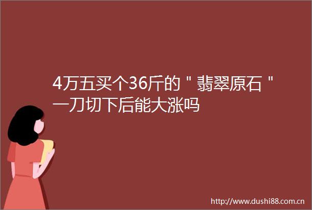 4万五买个36斤的＂翡翠原石＂一刀切下后能大涨吗