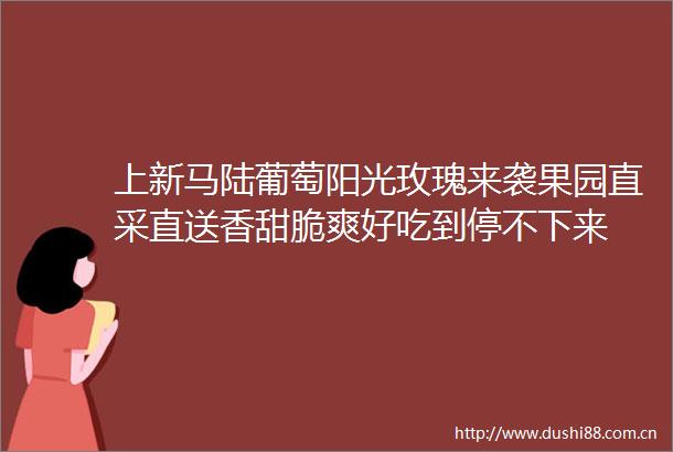 上新马陆葡萄阳光玫瑰来袭果园直采直送香甜脆爽好吃到停不下来