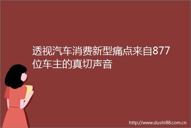 透视汽车消费新型痛点来自877位车主的真切声音