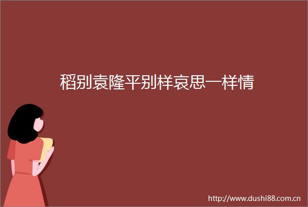 稻别袁隆平别样哀思一样情