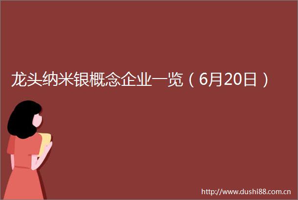 龙头纳米银概念企业一览（6月20日）
