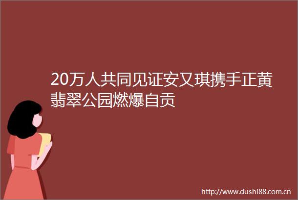 20万人共同见证安又琪携手正黄翡翠公园燃爆自贡