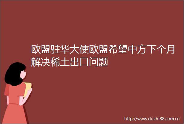 欧盟驻华大使欧盟希望中方下个月解决稀土出口问题