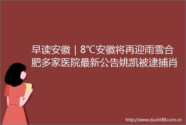 早读安徽｜8℃安徽将再迎雨雪合肥多家医院最新公告姚凯被逮捕肖夕华被查