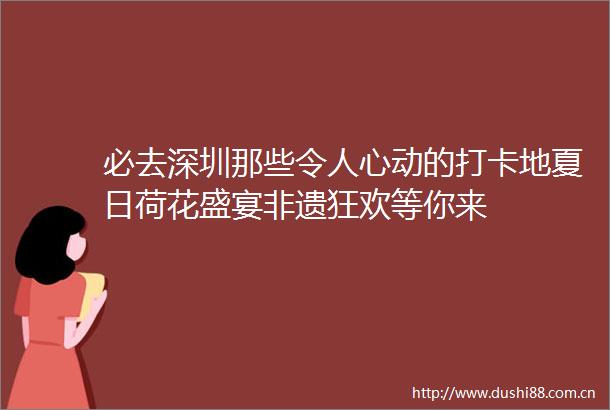 必去深圳那些令人心动的打卡地夏日荷花盛宴非遗狂欢等你来