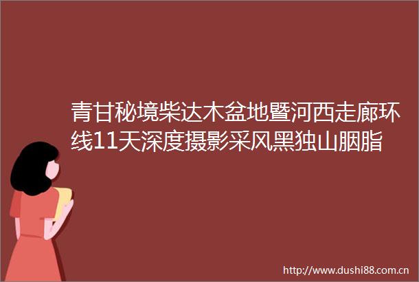 青甘秘境柴达木盆地暨河西走廊环线11天深度摄影采风黑独山胭脂山东台吉乃尔湖艾肯泉翡翠湖水上雅丹察尔汗盐湖