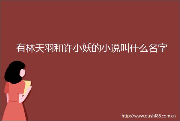 有林天羽和许小妖的小说叫什么名字