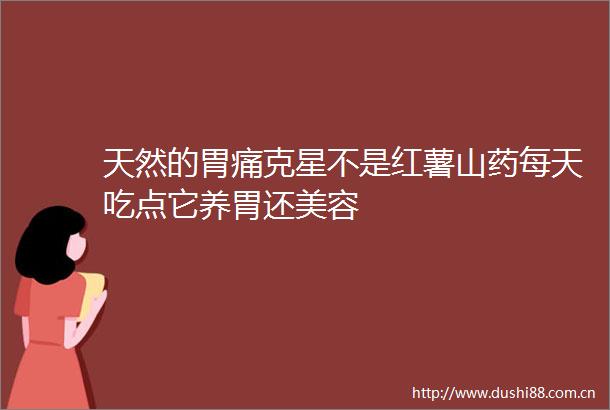 天然的胃痛克星不是红薯山药每天吃点它养胃还美容