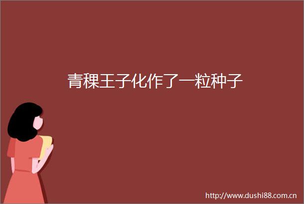 青稞王子化作了一粒种子