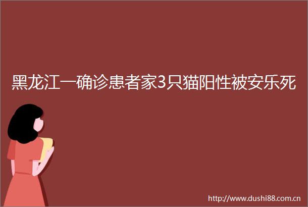 黑龙江一确诊患者家3只猫阳性被安乐死