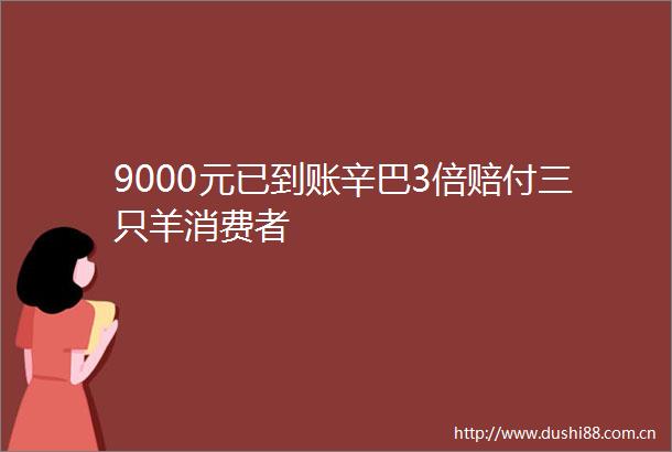 9000元已到账辛巴3倍赔付三只羊消费者