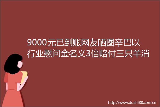 9000元已到账网友晒图辛巴以行业慰问金名义3倍赔付三只羊消费者
