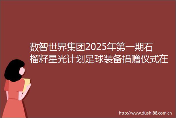数智世界集团2025年第一期石榴籽星光计划足球装备捐赠仪式在莎车举办