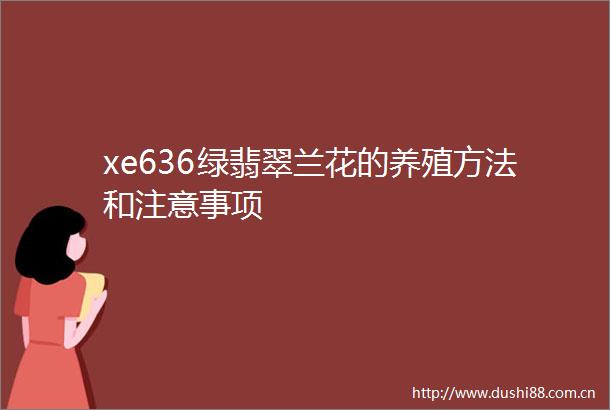 xe636绿翡翠兰花的养殖方法和注意事项