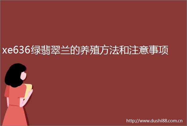 xe636绿翡翠兰的养殖方法和注意事项