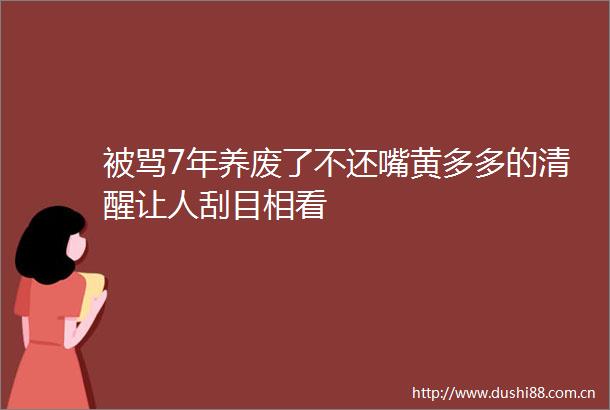 被骂7年养废了不还嘴黄多多的清醒让人刮目相看