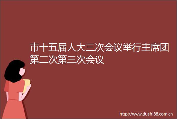 市十五届人大三次会议举行团第二次第三次会议