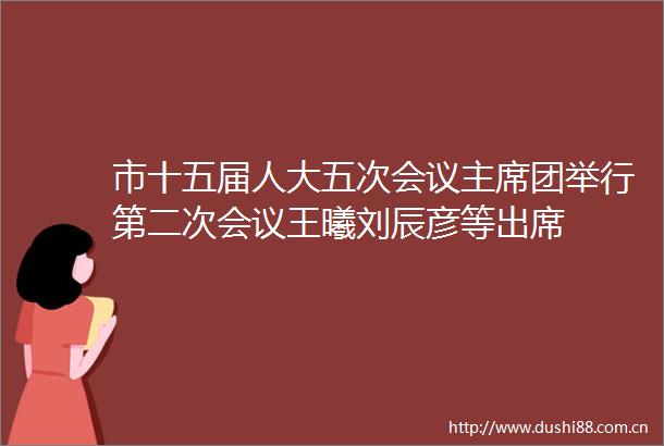 市十五届人大五次会议团举行第二次会议王曦刘辰彦等出席