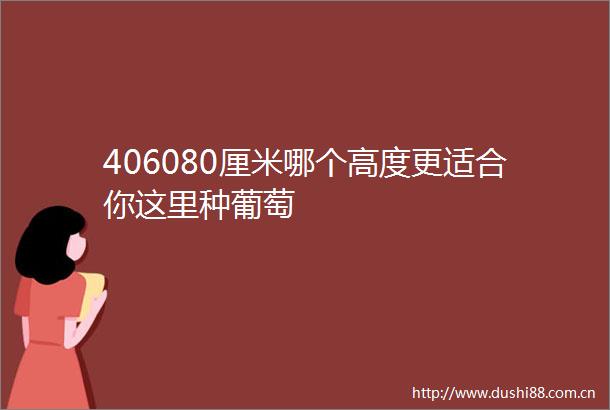 406080厘米哪个高度更适合你这里种葡萄